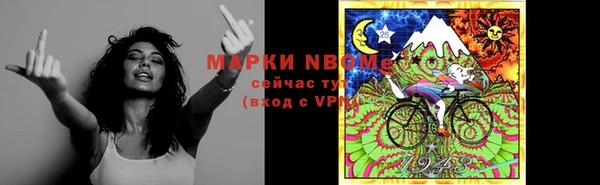 прущие грибы Армянск