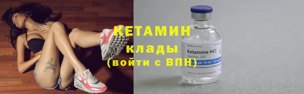 прущие грибы Армянск