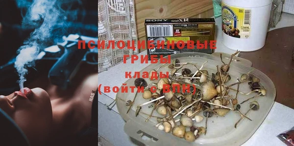 прущие грибы Армянск
