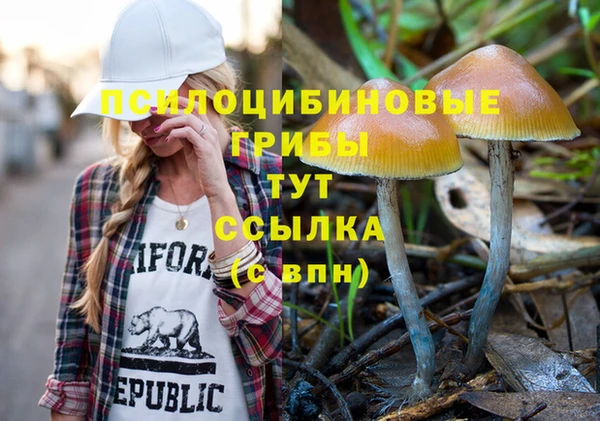 прущая мука Аркадак