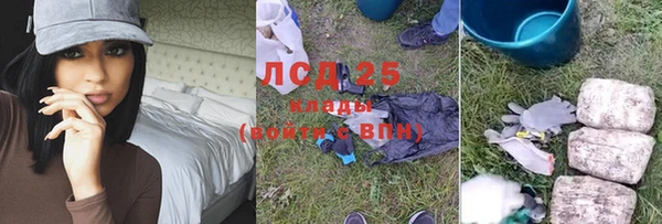 прущие грибы Армянск