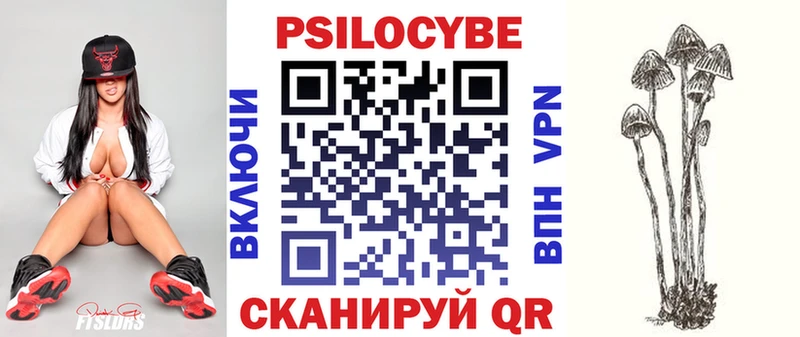 Псилоцибиновые грибы Psilocybe  площадка состав  Межгорье 
