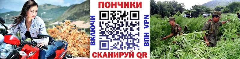 Бошки марихуана гибрид  закладка  Межгорье 